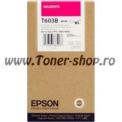 Epson Cartuse   Stylus PRO 9800