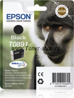  Epson Cartus cerneala  C13T08914011 